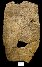Popes Creek cord-marked mended vessel fragments from Hamilton Collection, 18CH58.